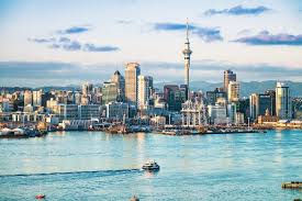 #26 best value in new zealand that matches your filters. Understanding New Zealand S Stimulus Packages And Grants Netsuite