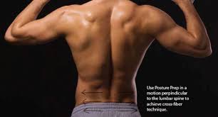 Upper border of ribs ii to v. Get Rid Of The Pain In Your Butt For Good Dr Pat Bona