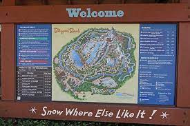 The Amazingly Cool Guide To Disney S Blizzard Beach Water Park
