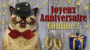 Joyeux Anniversaire Confine Carte Virtuelle Chats Humour Youtube