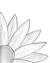 Beginners Easy Flowers To Draw Step By Step