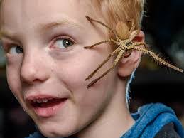 Tara Wilde's Instagram, Twitter & Facebook