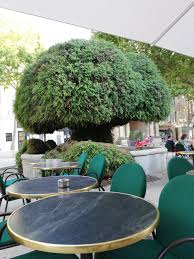 Entre une rue à son nom, deux statues (places du trônant face à l'hôtel de ville, à quelques encablures de l'office de tourisme, cette fontaine inaugurée en 1854 (elle. La Fontaine Moussue Picture Of Fontaine Moussue Salon De Provence Tripadvisor