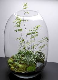 Beautiful Terrarium Design For Your Home Jihanshanum Beautiful Terrariums Terrarium House Plants Decor