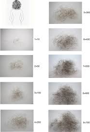 Image result for HAIR Score