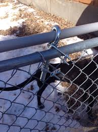 I wanted to be able to let my cats out into our fenced back yard without by attaching plastic mesh garden fencing to my wooden fence, i have been able to keep my cats in found this pdf file from the humane society silicon valley site on diy cat fencing using wire. Pin By Mo Perry On For The Home Dog Proof Fence Dog Yard Diy Dog Stuff