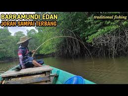 Saat suhu air dingin selama musim kemarau, barramundi menjadi kurang aktif dan makan lebih jarang. Inilah Yang Terjadi Ketika Mancing Tepat Di Sarang Nya Ikan Litetube