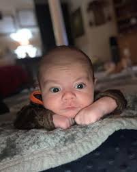 Emily Ladd (@emilyhladd22) • Instagram photos and videos