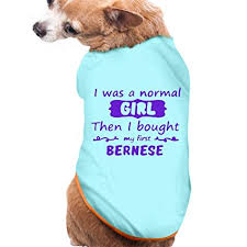Amazon Com Bernese Mountain Dog Dog Pajamas Puppy Bib