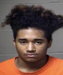 Local Teen Murders Fellow Teen in Hiram Home