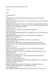 Image result for Sphaeranthus gazaensis