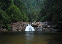 Though there are many mountains in malaysia, gunung jerai stands out purely because of its mystical and mythological charm even today. Berkongsi Ikan Dengan Bunian Sungai Sekayu Sentiasa Panas