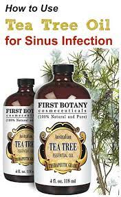 Easy Guide On How To Use Tea Tree Oil For Sinus Infection Oils For Sinus Tea Tree Oil Oils