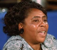 ChickenBones: A Journal: Freedom Summer: Making Mississippi Part of the USA