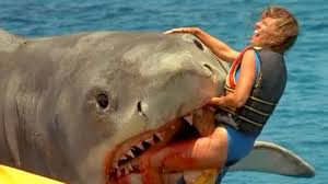 We did not find results for: Top 10 Most Horrific Shark Attacks That Actually Happened Watchmojo Com