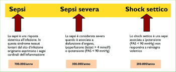 Sepsi osk average scored 1.75 goals per match in season 2021. Schema Delle Forme Di Sepsi Download Scientific Diagram