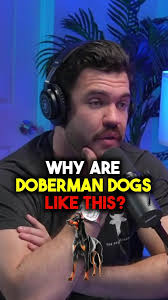 I don’t see a point in overpaying for these incestuous dogs… Get a mutt and  move