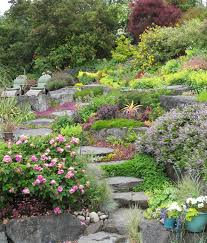 More From Peggy S Garden In Washington State Finegardening Sloped Garden Australian Garden Low Maintenance Garden Design