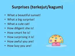 Melongo, bukan karena kagum tapi nggak ngerti omongan. Contoh Dialog Expressing Surprise Beserta Artinya