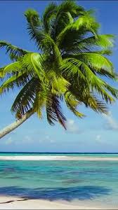 80 melhores ideias de paisagem praia paisagem praia lindas paisagens fotos de paisagem