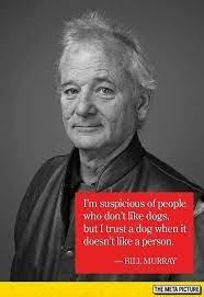 Create amazing picture quotes from bill murray quotations. Pin On Awesome Quotes