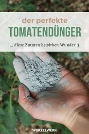 Tomaten Richtig Dungen Wann Wie Mit Welchen Dunger Wurzelwerk In 2020 Tomaten Garten Garten Pflanzen Garten Anpflanzen