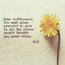 Be A Wild Flower Quote Nauticalwheeler Wild Flower Quotes Flower Quotes Senior Quotes