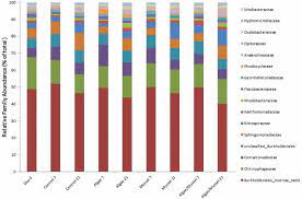 Bar à lyon 7e (69). Bar Graph Representing Relative Community Composition Of 17 Bacterial Download Scientific Diagram