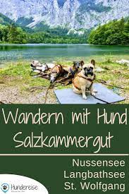 urlaub hund salzkammergut see wanderung hund erlaubt hundereise urlaub mit hund hund reisen wanderurlaub mit hund