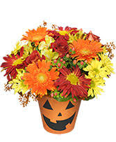 Baldwin brothers funerals & cremations. Bewitching Blossoms Floral Arrangement In Lakeland Fl Gibsonia Flowers