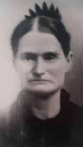 Welcome to DeepRoots