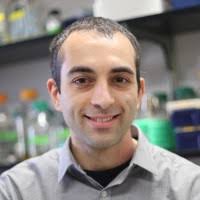 300+ "Boris ..." profiles