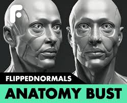 Ultimate Guide to Becoming a 3D Character Artist