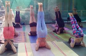 hatha yoga teacher s in