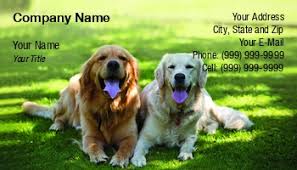 Golden dog beer tours was inspired by the friendliness of the uptown core of the city and of course a golden dog, named quincy. Golden Retriever Business Cards