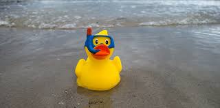 Ernie und bert zählen zu den populärsten figuren der „sesamstraße. Quietscheentchen Eine Huldigung Der Badberater