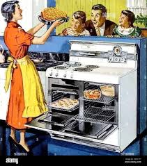 نتیجه جستجوی لغت [housewife] در گوگل