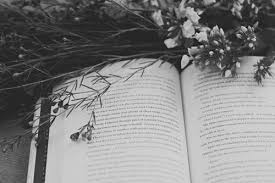 Check out this fantastic collection of black and white book wallpapers, with 42 black and white book background images for your desktop, phone or tablet. Image About Photography In Books By Isabel On We Heart It