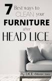 Image result for what is the best lice treatment for furniture
