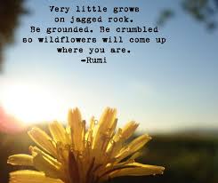 Some are pensive and diffident; Best Inspirational Rumi Quotes Rumi Quotes Rumi Words