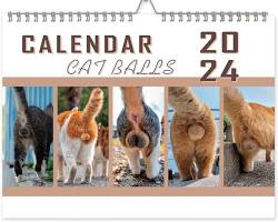 cat ballsの画像