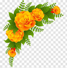 ✓ free for commercial use ✓ high quality images. Clip Art Adobe Photoshop Floral Design Photography Cartoon Madre Border Laguna Transparent Png