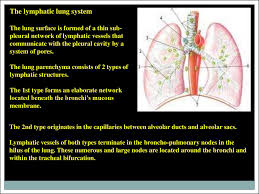The most accurate way to determine if a lung disease affects this part of the lung is with a surgical biopsy. Importance Of Tuberculosis As Scientific And Practical Problem Tuberculosis Epidemiology In The World Lecture 1 Online Presentation