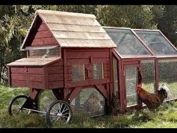 Glückliche hühner wohnen in einem durchdachten stall. Huhnerstall Selber Bauen Huhnerstall Bauen Ideen Youtube