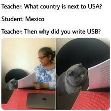 Find the newest mexico vs usa meme. Then Why Did You Write Memes Memezila Com