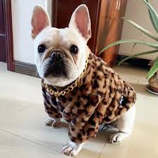 Sleepin' barkin' eatin' fartin' dog tee. Fluffy Leopard French Bulldog Winter Coat French Bulldog Clothes French Bulldog Bulldog