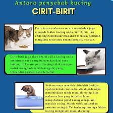 Maybe you would like to learn more about one of these? Anta Kitty Kittun Cathouse Makanan Kucing Murah Online Facebook