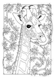 New users enjoy 60% off. Giraffe Coloring Pages Giraffe Coloring Pages 8211 Giraffe Coloring Pages Giraffe Coloring Pages Coloring Books Cute Coloring Pages
