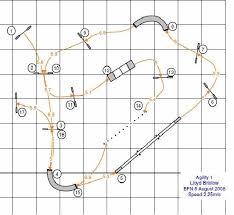 Dog Agility Courses Resources For Agility Course Design Agilityfusion Com In 2021 Dog Agility Course Diy Dog Agility Course Dog Agility