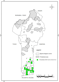 Image result for Harrisonia